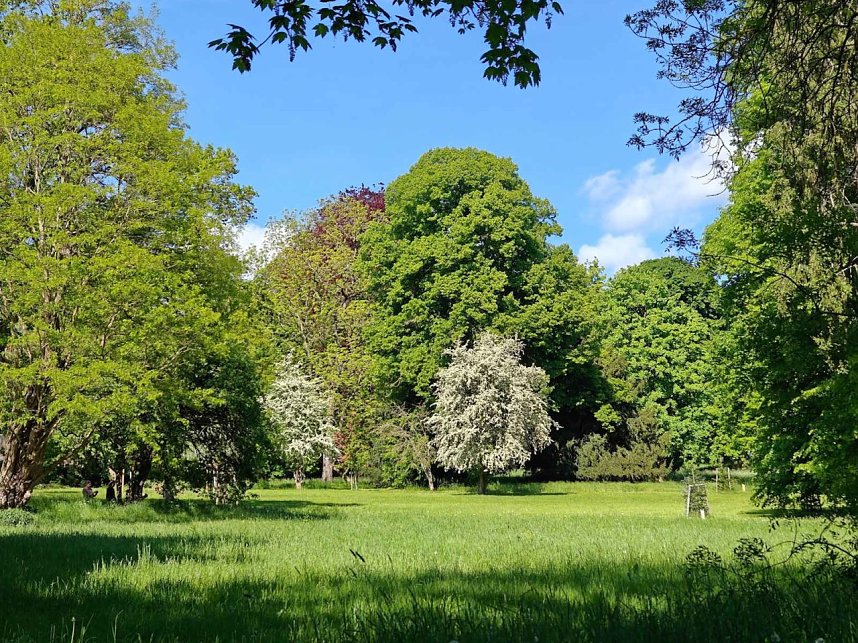 Peter Blei unterwegs am Muttertag in Nordhausen