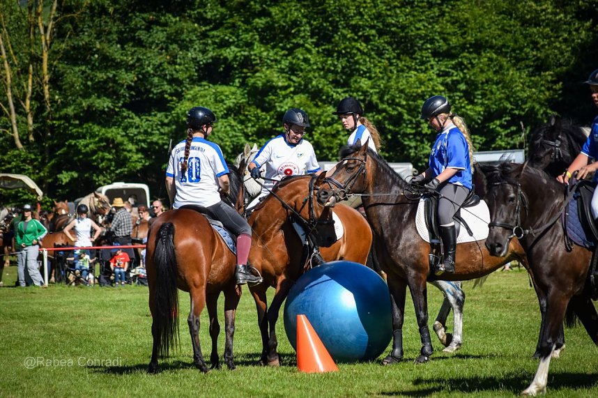 In W&uuml;lfingerode wird demn&auml;chst zur 51. Ponyschau geladen