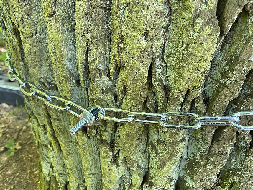 Gesperrter Wanderweg hinter den Wartt&uuml;rmchen in Nordhausen. 