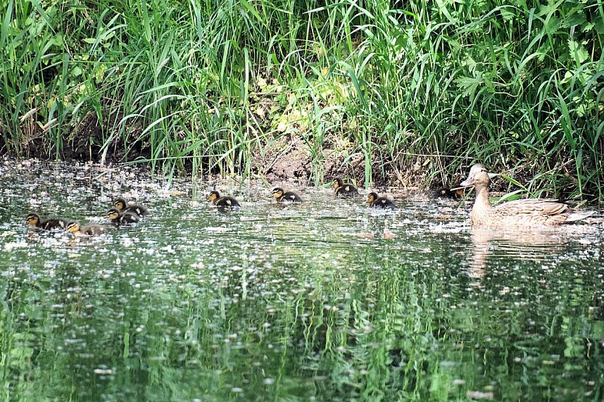 Peter Blei unterwegs entlang der Zorge