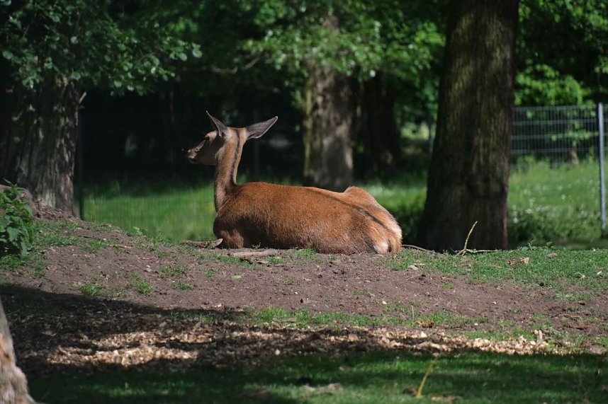 Peter Blei unterwegs entlang der Zorge