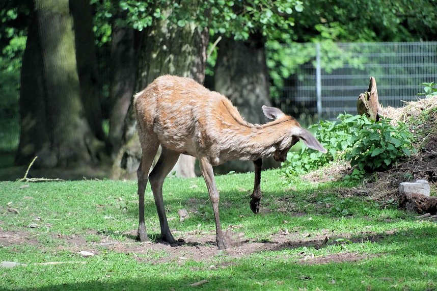 Peter Blei unterwegs entlang der Zorge