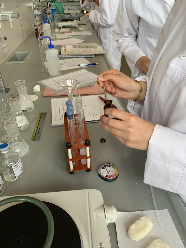 Chemie-Exkursion nach Merseburg