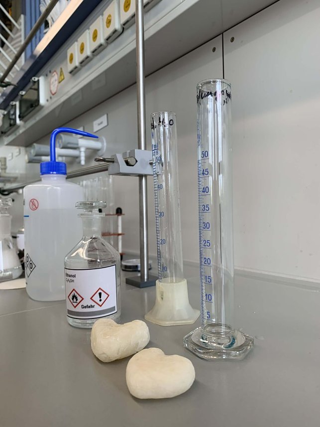 Chemie-Exkursion nach Merseburg