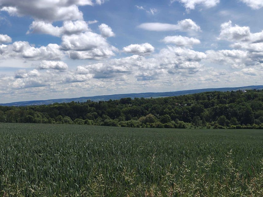 Himmelfahrtsausflug nach Krimderode