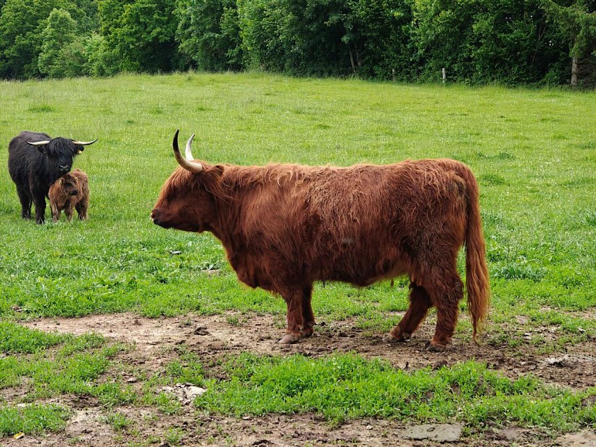 Himmelfahrtsausflug nach Krimderode