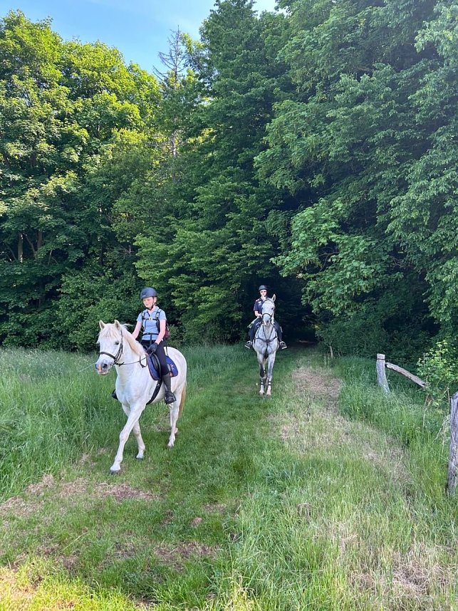 Orientierungsritt durch den Harz