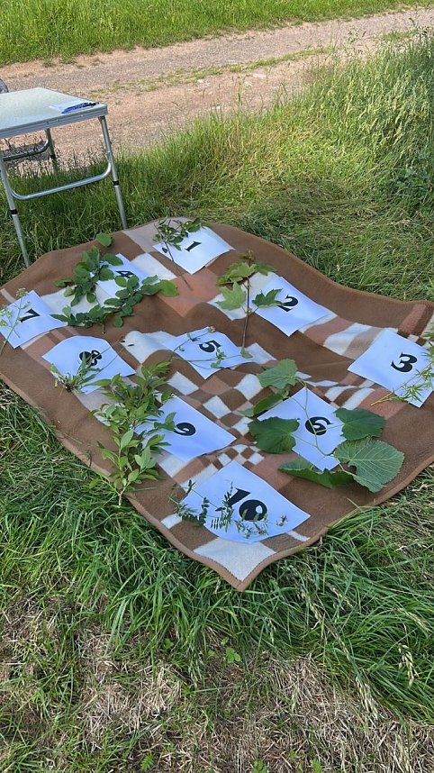 Orientierungsritt durch den Harz