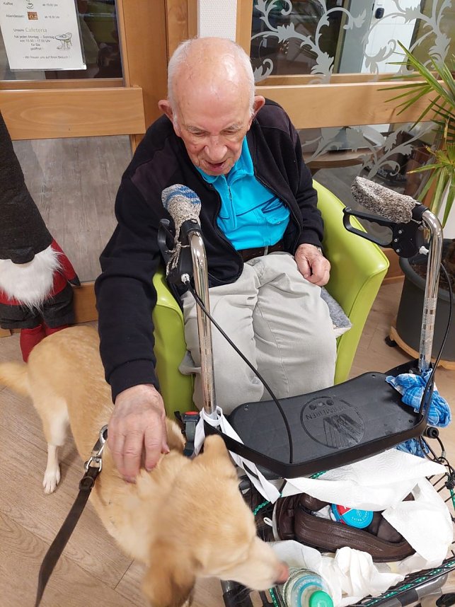 Gemeinsames Zuhause von Bewohner und Tier - in Werther gibt es jetzt einen Therapiehund