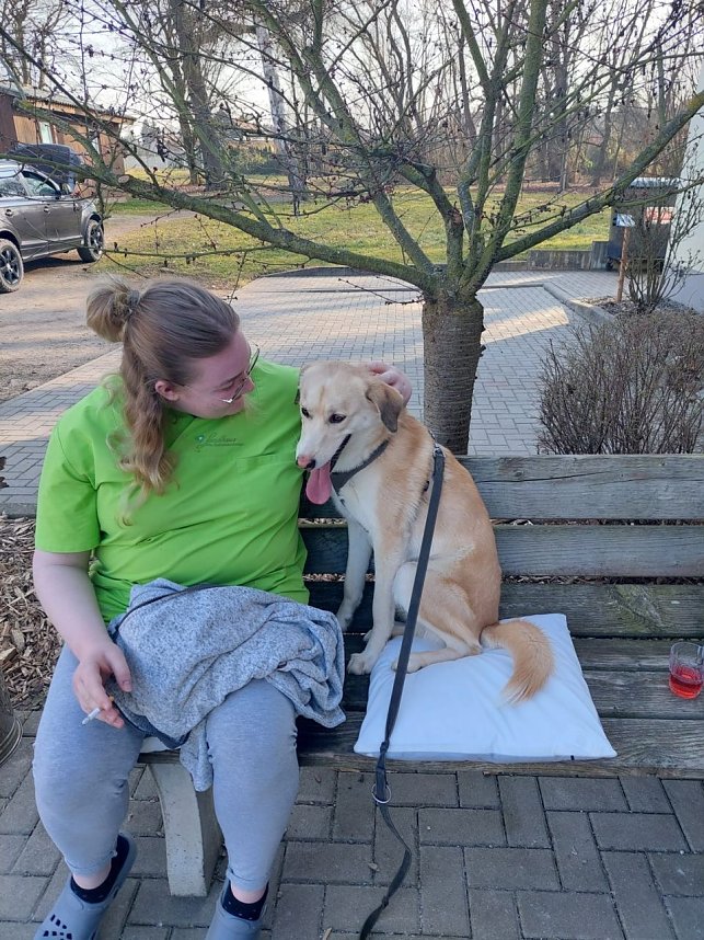 Gemeinsames Zuhause von Bewohner und Tier - in Werther gibt es jetzt einen Therapiehund