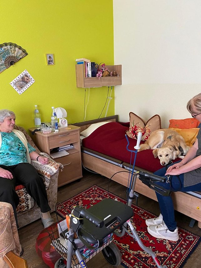 Gemeinsames Zuhause von Bewohner und Tier - in Werther gibt es jetzt einen Therapiehund