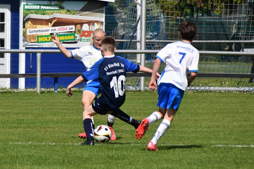 Wackers D2 gegen den SV Blau-Wei&szlig; 90