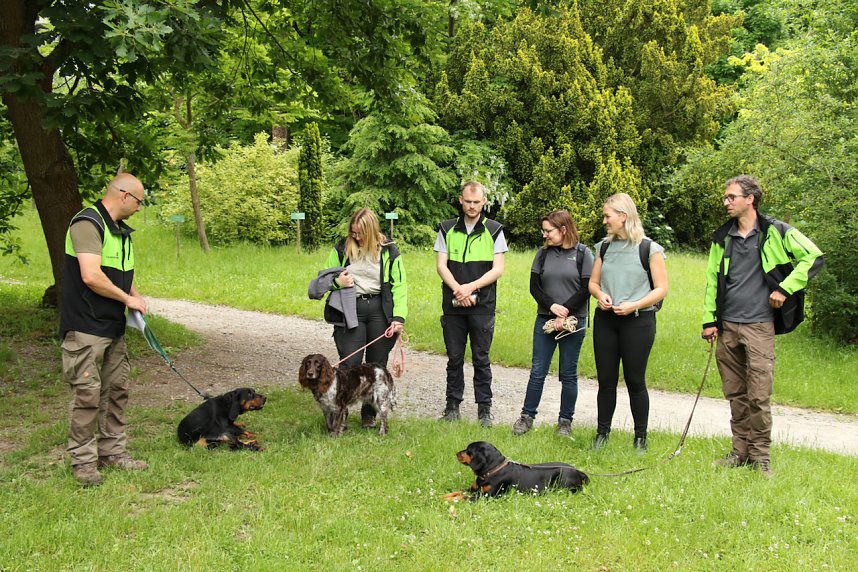 Waldjugendspiele 2025 im Park Hohenrode