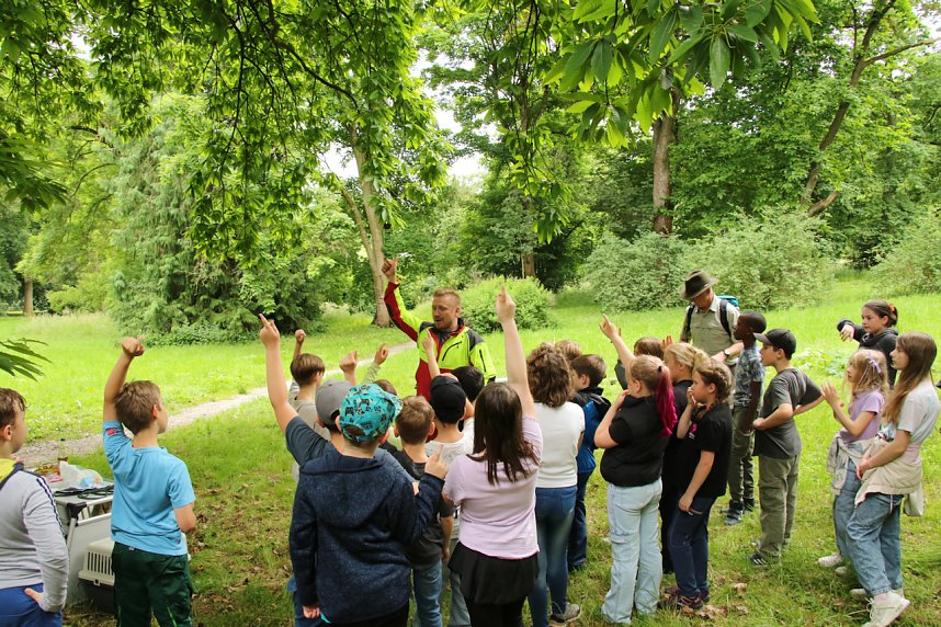 Waldjugendspiele 2025 im Park Hohenrode