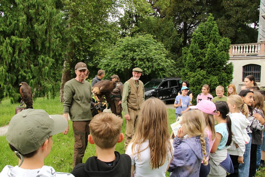 Waldjugendspiele 2025 im Park Hohenrode