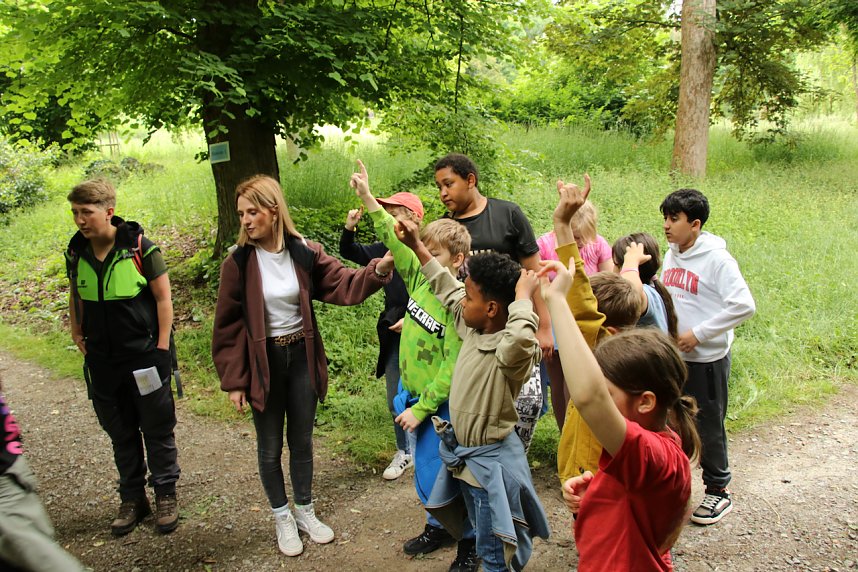 Waldjugendspiele 2025 im Park Hohenrode