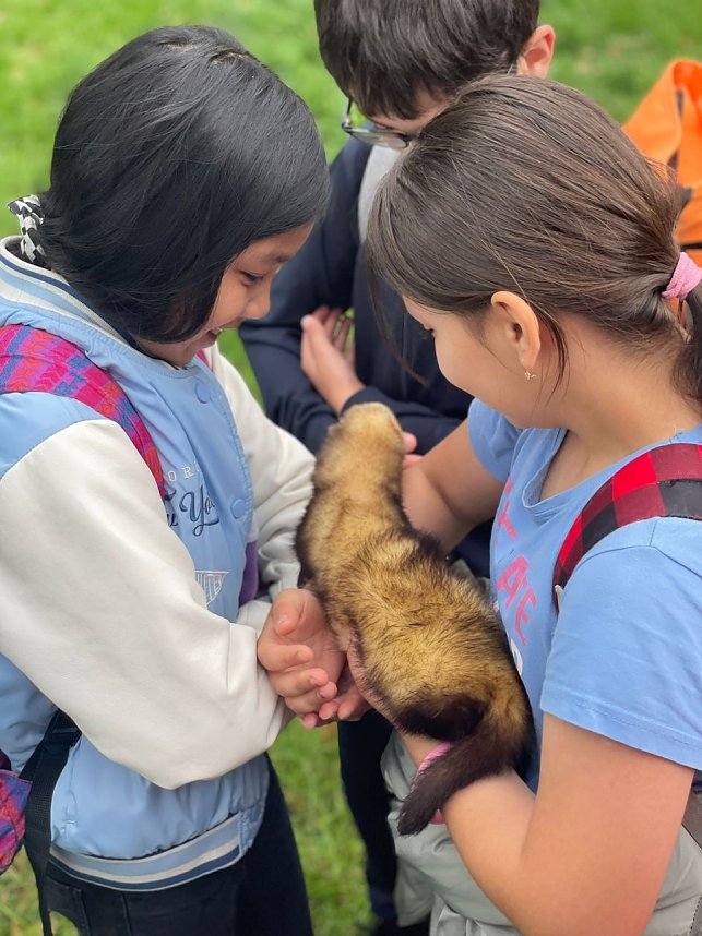 Kinder der Bertolt-Brecht-Grundschule bei den Waldjugendspielen