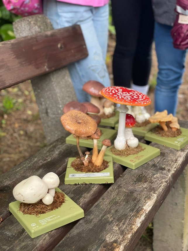 Kinder der Bertolt-Brecht-Grundschule bei den Waldjugendspielen
