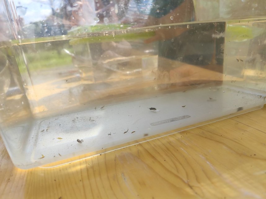 Exkursion der Petersberger Grundschule rund ums Wasser