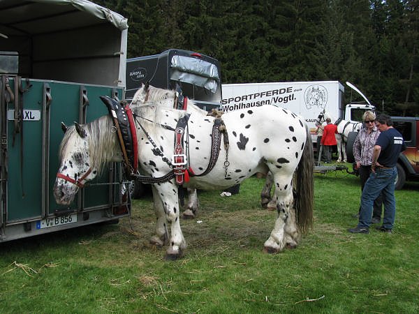 Pfingsten in Bad Elster