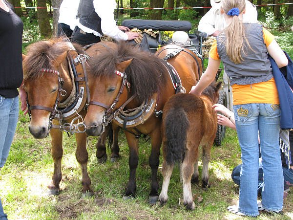 Pfingsten in Bad Elster