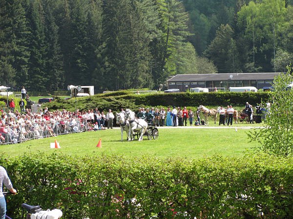 Pfingsten in Bad Elster