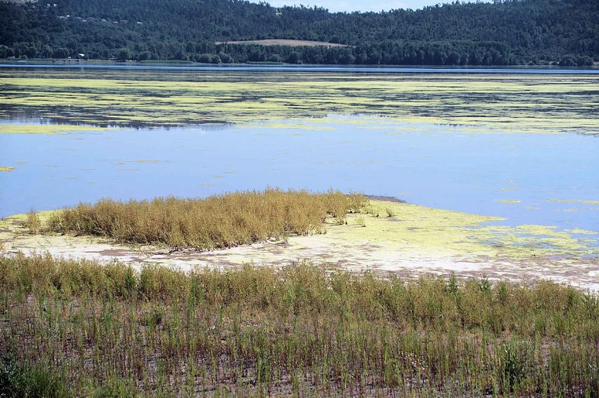 Peter Blei unterwegs am Stausee Kelbra 