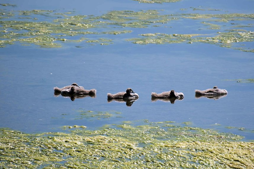 Peter Blei unterwegs am Stausee Kelbra 
