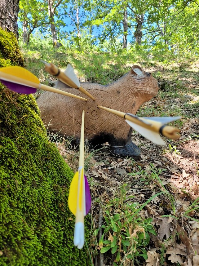 Bogenschie&szlig;en in Italien