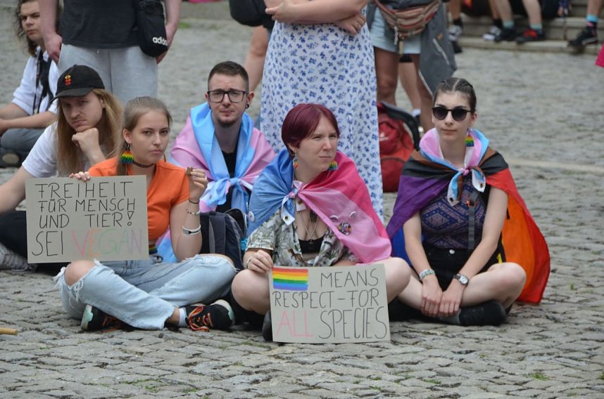 1.CSD M&uuml;hlhausen