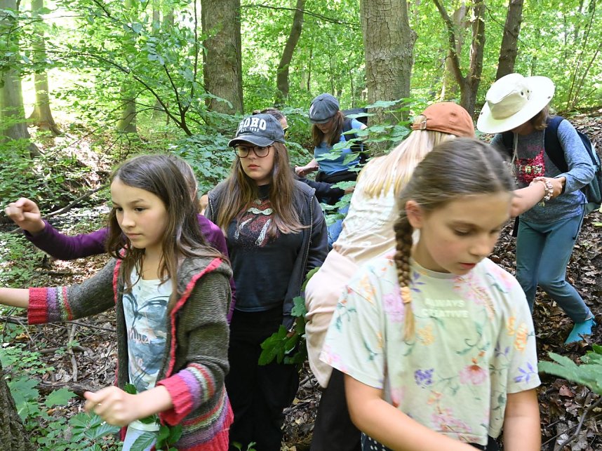 Tag 7 im Handwerkercamp