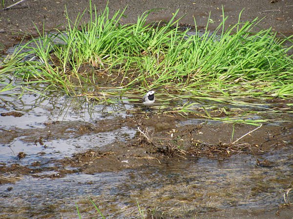 Dritte Station: Bad Brambach