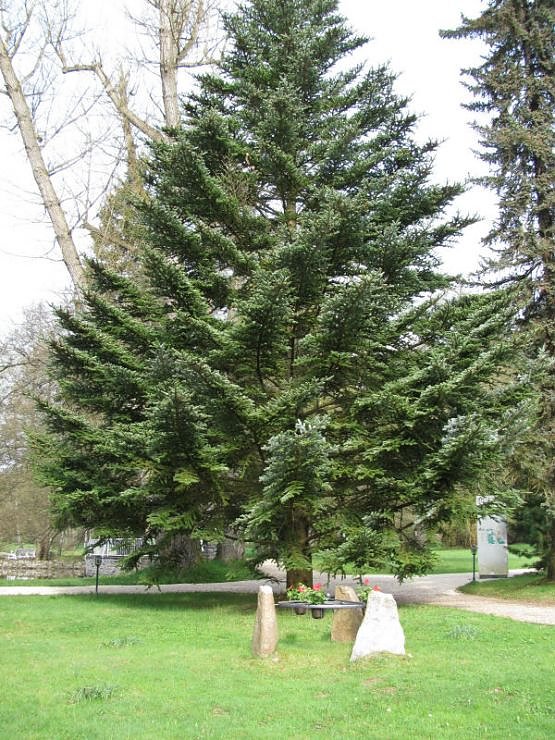 Dritte Station: Bad Brambach