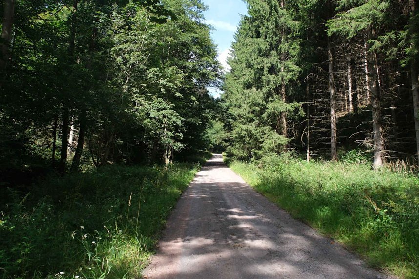 Peter Blei unterwegs im Birkenmoor