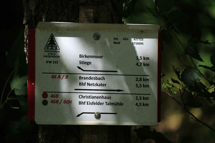 Peter Blei unterwegs im Birkenmoor