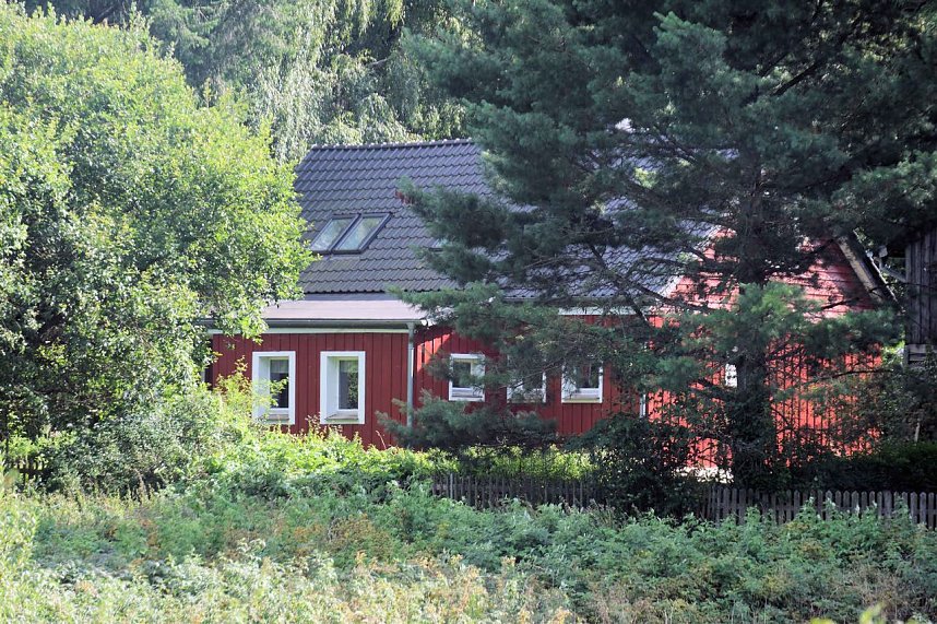 Peter Blei unterwegs im Birkenmoor