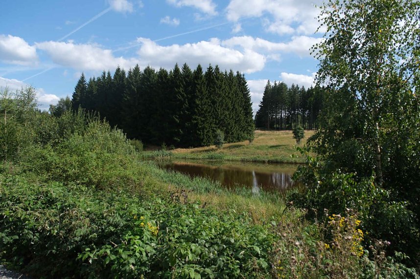 Peter Blei unterwegs im Birkenmoor