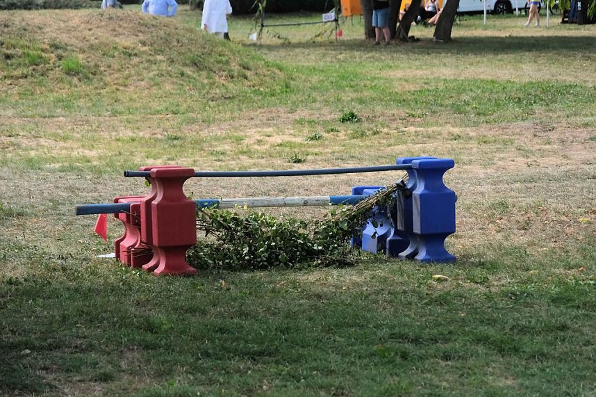 Scheinenhof-Fest mit Hobby Horsing