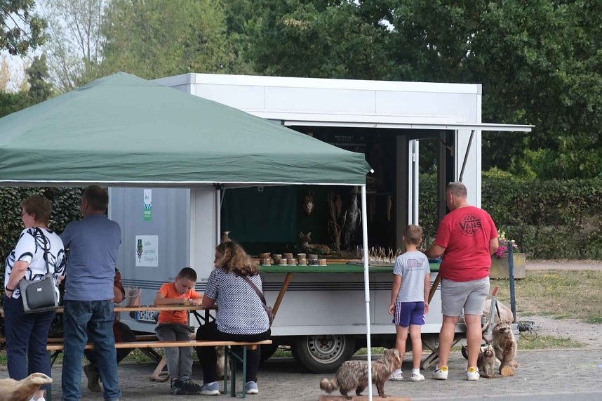 Scheinenhof-Fest mit Hobby Horsing