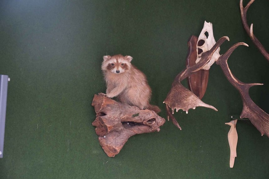 Scheinenhof-Fest mit Hobby Horsing