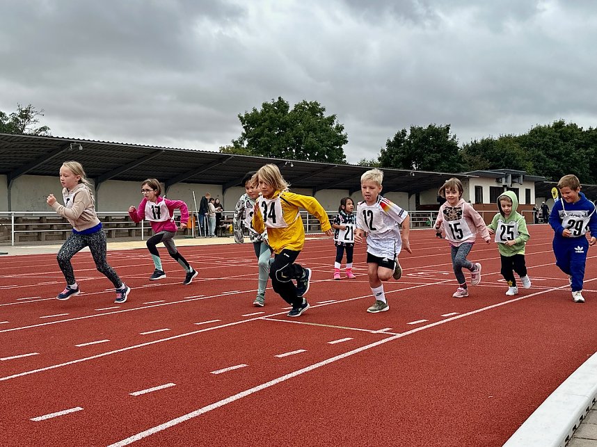 Vereinssportfest am Hohekreuzsportplatz 