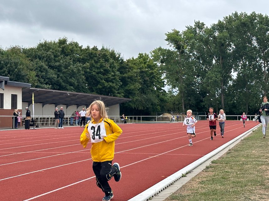 Vereinssportfest am Hohekreuzsportplatz 