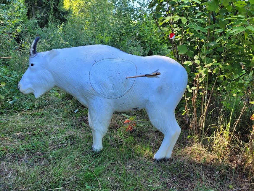 Susanne Walther war bei der European 3D Archery Championschip  in der Slowakei 