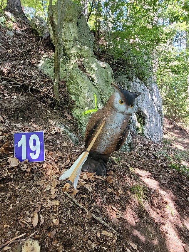 Susanne Walther war bei der European 3D Archery Championschip  in der Slowakei 