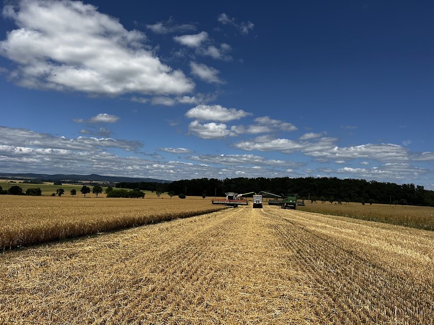 Dank an die Mitarbeiter von Apex