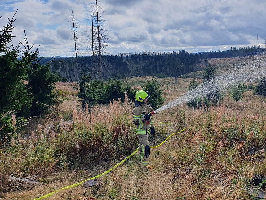 Waldbrand&uuml;bung der Feuerwehren 
