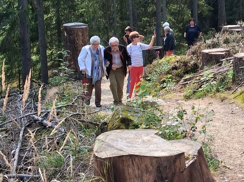 Senioren auf Wanderschaft