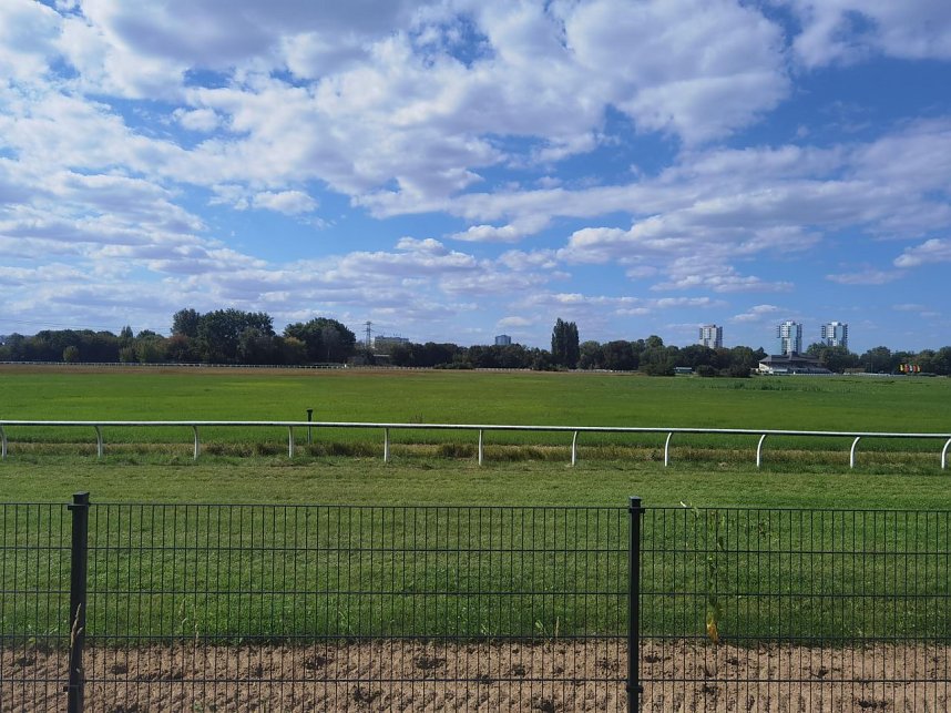 Das DaF-Team des Sprachenzentrums der Hochschule Nordhausen beim Firmenwandertag in Halle (Saale).
