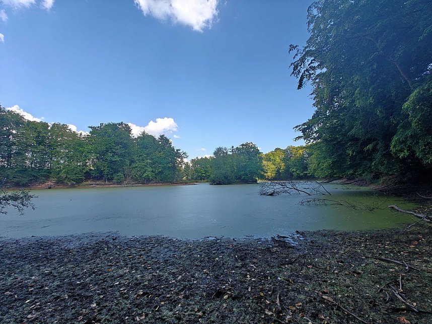 Peter Blei unterwegs am Wiesenteich