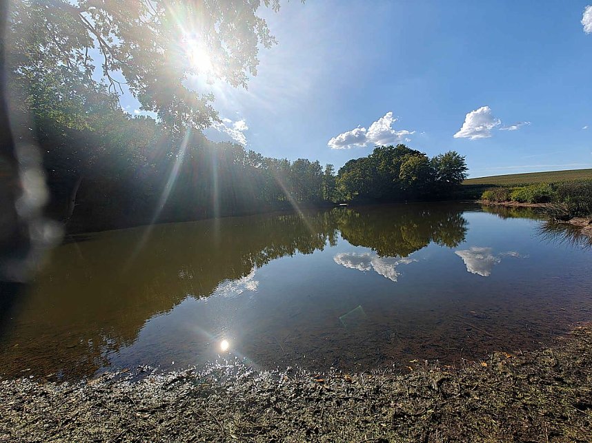Peter Blei unterwegs am Wiesenteich